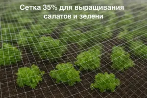 Сетка 35% для выращивания салатов и зелени
